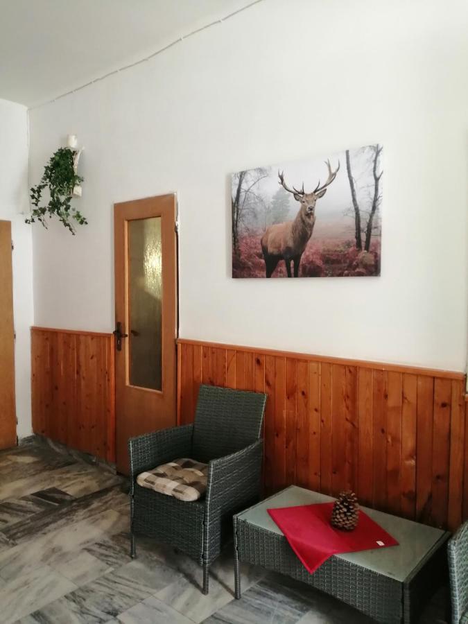Penzion Hajenka Petrovice  Dış mekan fotoğraf